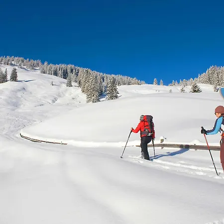 Lejlighed Ben Reith im Alpbachtal